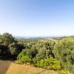 Mount Galision Skyview
