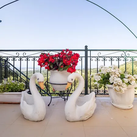 Mount Galision Skyview דירה