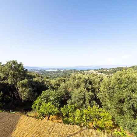 Mount Galision Skyview